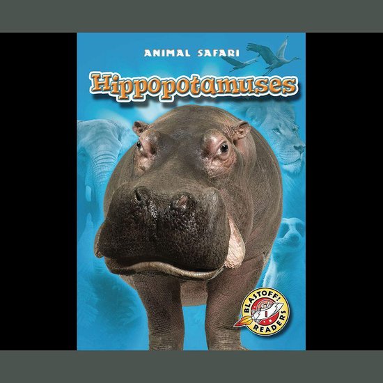 Hippopotamuses - cover