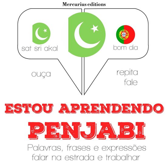 Estou aprendendo penjabi - cover