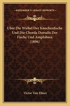 Uber Die Wirbel Der Knochenfische Und Die Chorda Dorsalis Der Fische Und Amphibien (1896)