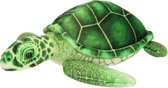 Pluche groene zeeschildpad knuffel 25 cm - Schildpadden zeedieren knuffels - Speelgoed voor kinderen