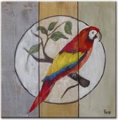 Schilderij - Papegaai