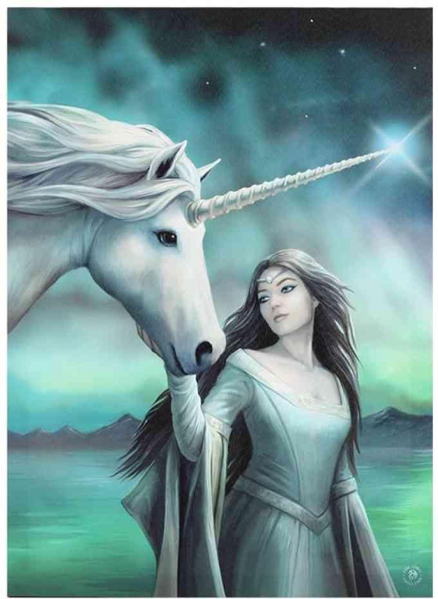 Anne Stokes - Canvas afbeelding North Star 50 x 70 Multicolours