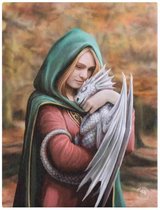 Safe Haven Anne Stokes canvas wanddecoratie vrouw figuur met draakje