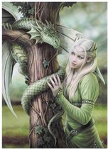 Canvas 50x70cm  - Kindred Spirits - Anne Stokes