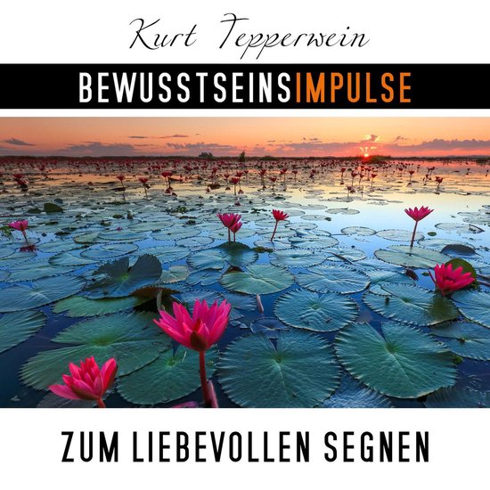 Bewusstseinsimpulse zum liebevollen Segnen - cover