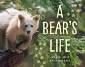 A Bear's Life