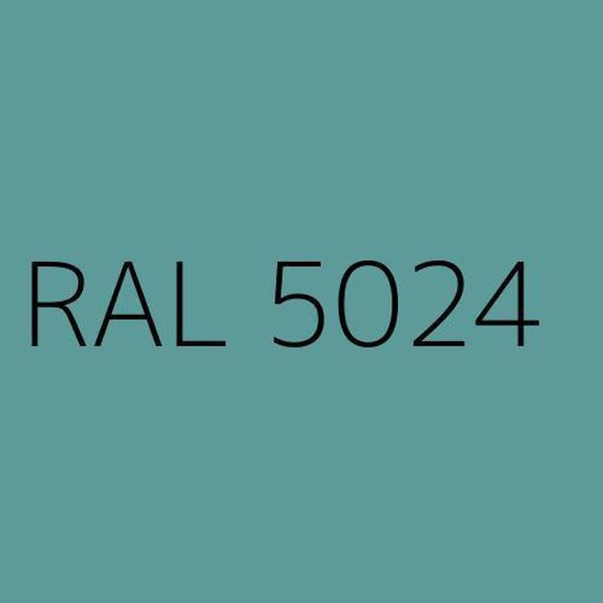 Rayant muurverf Extra Mat Voor buiten en binnen - 5 liter - Kleur  Pastelblauw (RAL 5024) | bol.com