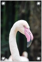 Tuinposter –Kop Roze Flamingo– 80x120  Foto op Tuinposter (wanddecoratie voor buiten en binnen)