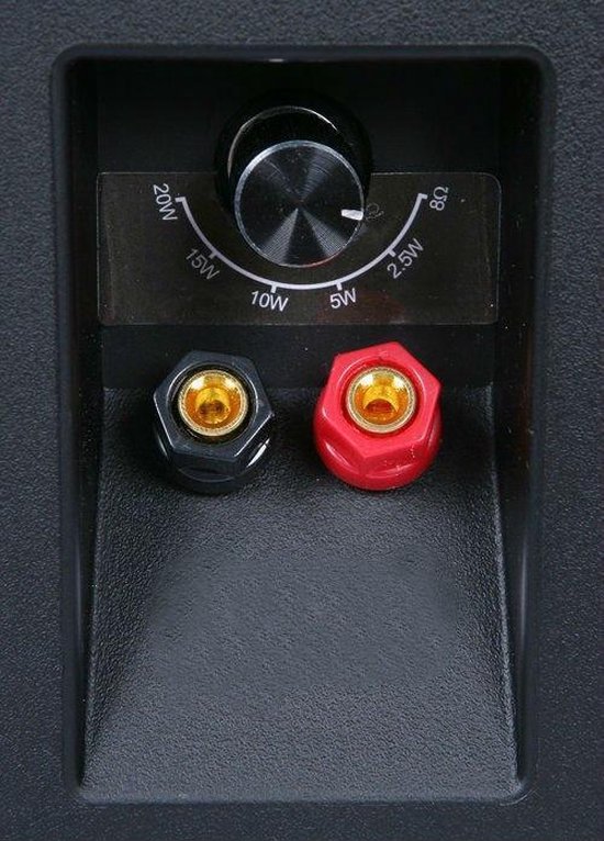 TIC ASP120 - 6.5" Weerbestendige luidsprekers voor buiten met 70V schakelaar - Zwart — afbeelding 2