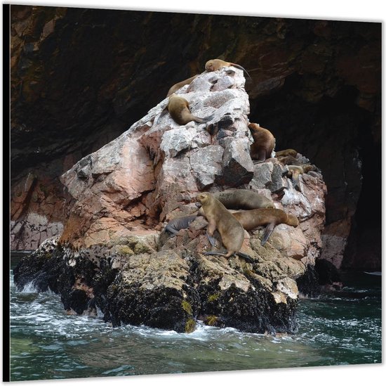 Dibond –Rots in Grot met Water– 50x50 Foto op Aluminium (Wanddecoratie van metaal)