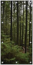 Tuinposter –Hoge bomen in het Bos– 100x200cm Foto op Tuinposter (wanddecoratie voor buiten en binnen)