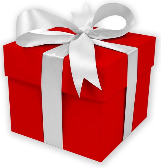 Vertrappen Excentriek agitatie Grote geschenkdoos met deksel en witte strik | Rode doos | Vierkante doos |  25cm |... | bol.com