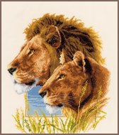 Leeuwen koppel borduren (pakket)