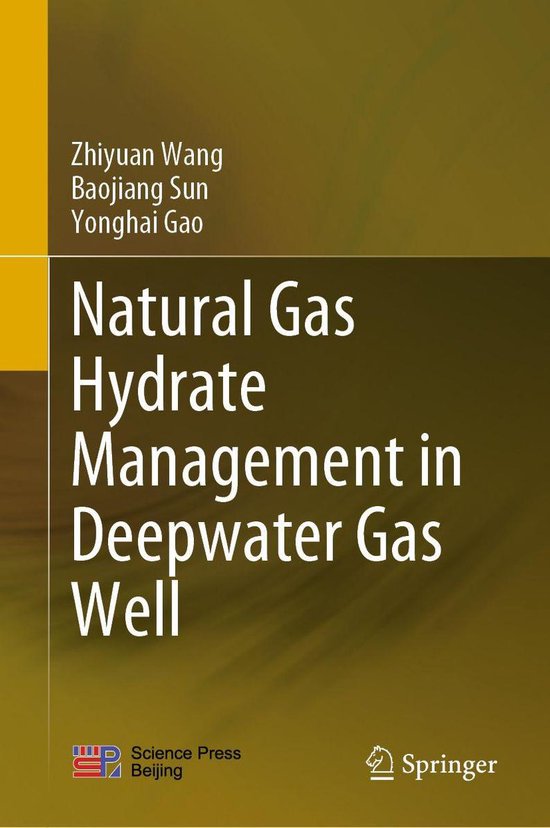 Natural Gas Hydrate Management in Deepwater Gas Well - cover