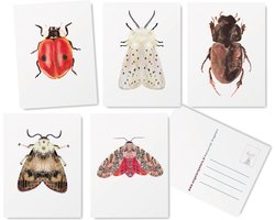 Insecten Wenskaarten Set -5 stuks - Blanco - Ansichtkaarten - Kaartje sturen - De originele illustraties zijn handgemaakt door Angela