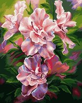 Schilderen op nummer volwassenen - AZALEA - WIZARDI - 40 x 50 cm