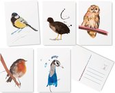 Vogel Wenskaarten Set -5 stuks - Blanco - Ansichtkaarten - Kaartje sturen - De originele illustraties zijn handgemaakt door Angela