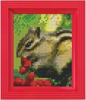 Pixel hobby geschenkdoos Eekhoorn