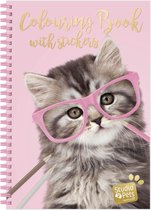 Studio Pets - Kleurboek & stickerboek - 28 katten kleurplaten en 5 stickervellen - Paige