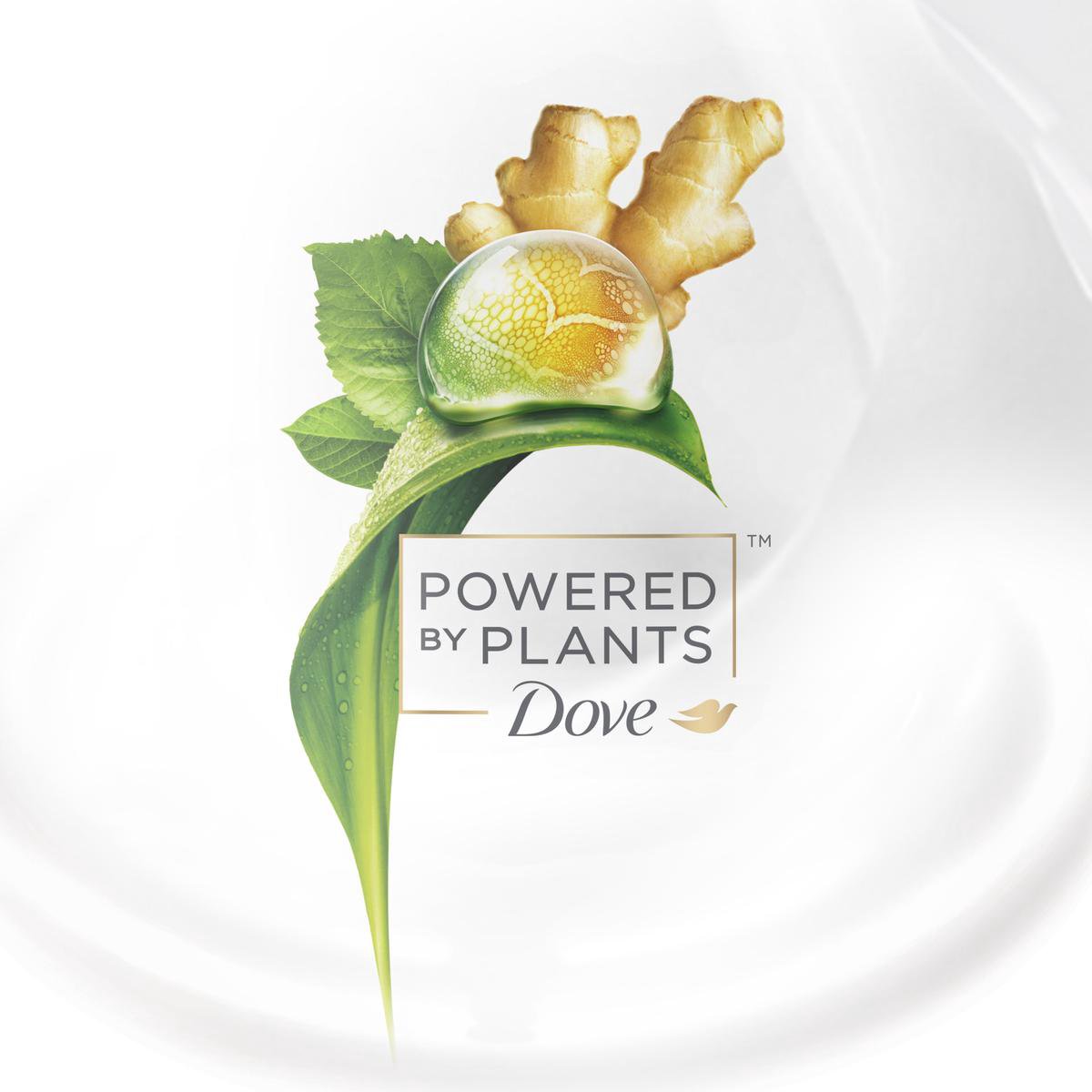 Dove Powered by Plants Deodorant - Ginger - 48 uur bescherming - Vegan -  75ml | bol