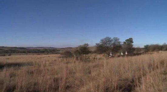 Marley Africa Road Trip