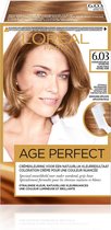 L’Oréal Paris Excellence Age Perfect 6.03 -Donker Goudblond - Haarverf