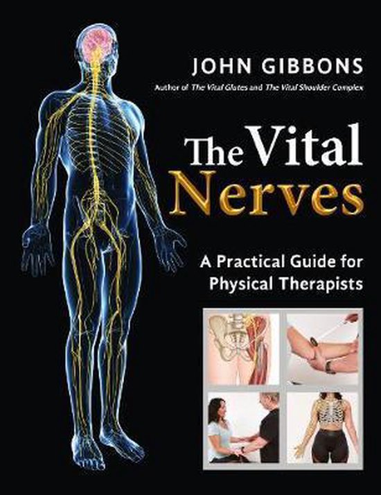The Vital Nerves - cover