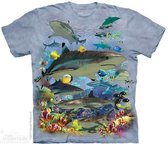 T-shirt Reef Sharks M
