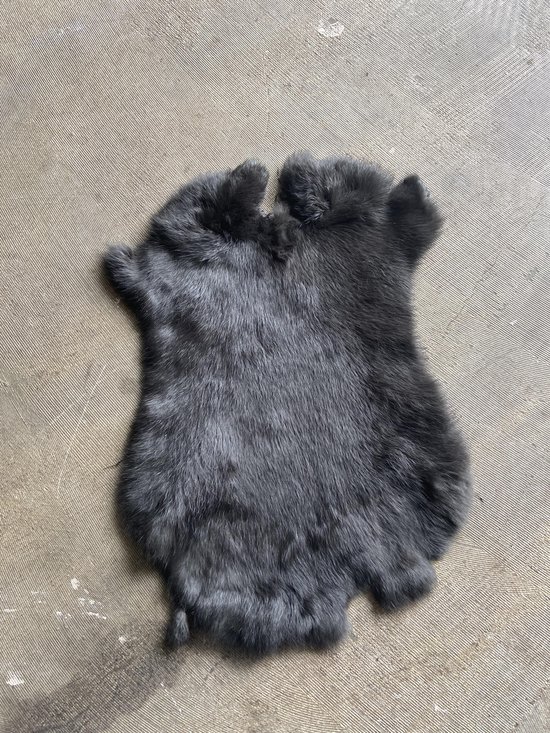 Oplossen Stap zonne konijnen vacht klein gekleurd donker grijs 02 | bol.com