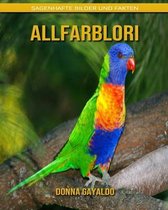 Allfarblori