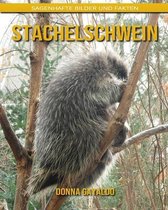 Stachelschwein