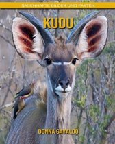 Kudu