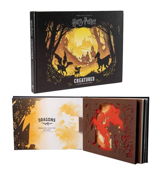 Harry Potter: A Pop-Up Book  Harry potter pop, Harry potter pop