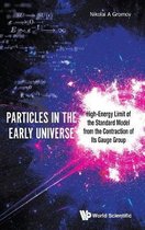 Particles In The Early Universe