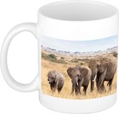 Kudde Afrikaanse olifanten in de Savanne koffiemok / theebeker wit 300 ml - keramiek - dierenmokken - cadeau beker / olifant / natuurliefhebber mok