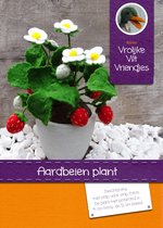 DIY wolvilt pakket: aardbeien plant