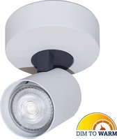 Artdelight - Plafondlamp Vivaro 1L Rond - Wit - LED 4,9W 2200K-2700K - IP20 - Dim To Warm > spots | spotjes | spotjes plafondlamp | opbouwspot led | spots verlichting led | plafonniere led wi