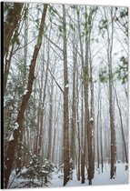 Dibond –Bos met Sneeuw– 40x60cm Foto op Aluminium (Wanddecoratie van metaal)