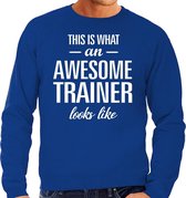 Awesome / geweldige trainer cadeau sweater blauw heren L