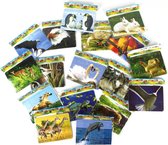 9 stuks verschillende dieren puzzeltjes karton 12x8,5 cm