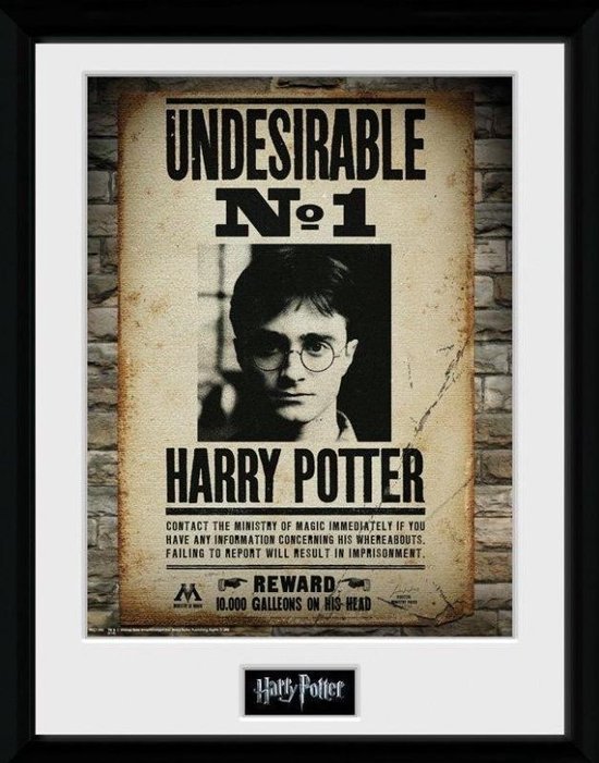 HARRY POTTER COLLECTOR PRINT UNDESIRABLE N° 1 /2