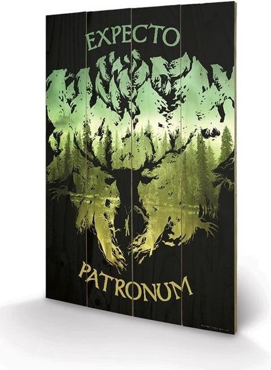 Harry Potter - Impression sur Bois 40X59 - Expecto Patronum