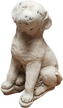 Tuinbeeld rottweiler hond (Wit/Gepattineerd) -hoogwaardige kwaliteit -perfect voor binnen en buiten