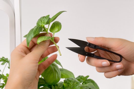 Véritable® mini-snips kruidenschaar — afbeelding 4