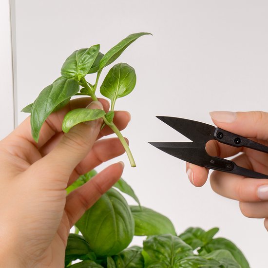 Véritable® mini-snips kruidenschaar — afbeelding 5