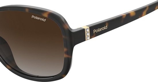 POLAROID Zonnebril (PLD4098/S) Volwassenen Bruin Volledig omrand Polarizerend