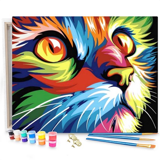 Chat coloré - Peinture par numéro 50x40cm avec cadre en bois