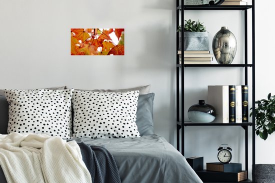 Affiche Branches d'Automne - Feuilles - Saisons - Rural - 40x20 cm