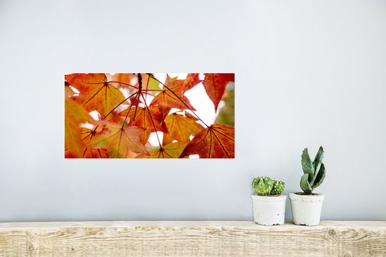 Affiche Branches d'Automne - Feuilles - Saisons - Rural - 40x20 cm