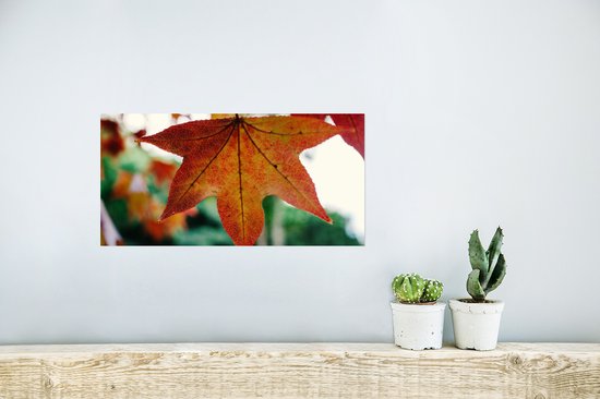 Affiche Automne - Rural - Feuilles - Saisons - Rural - 40x20 cm